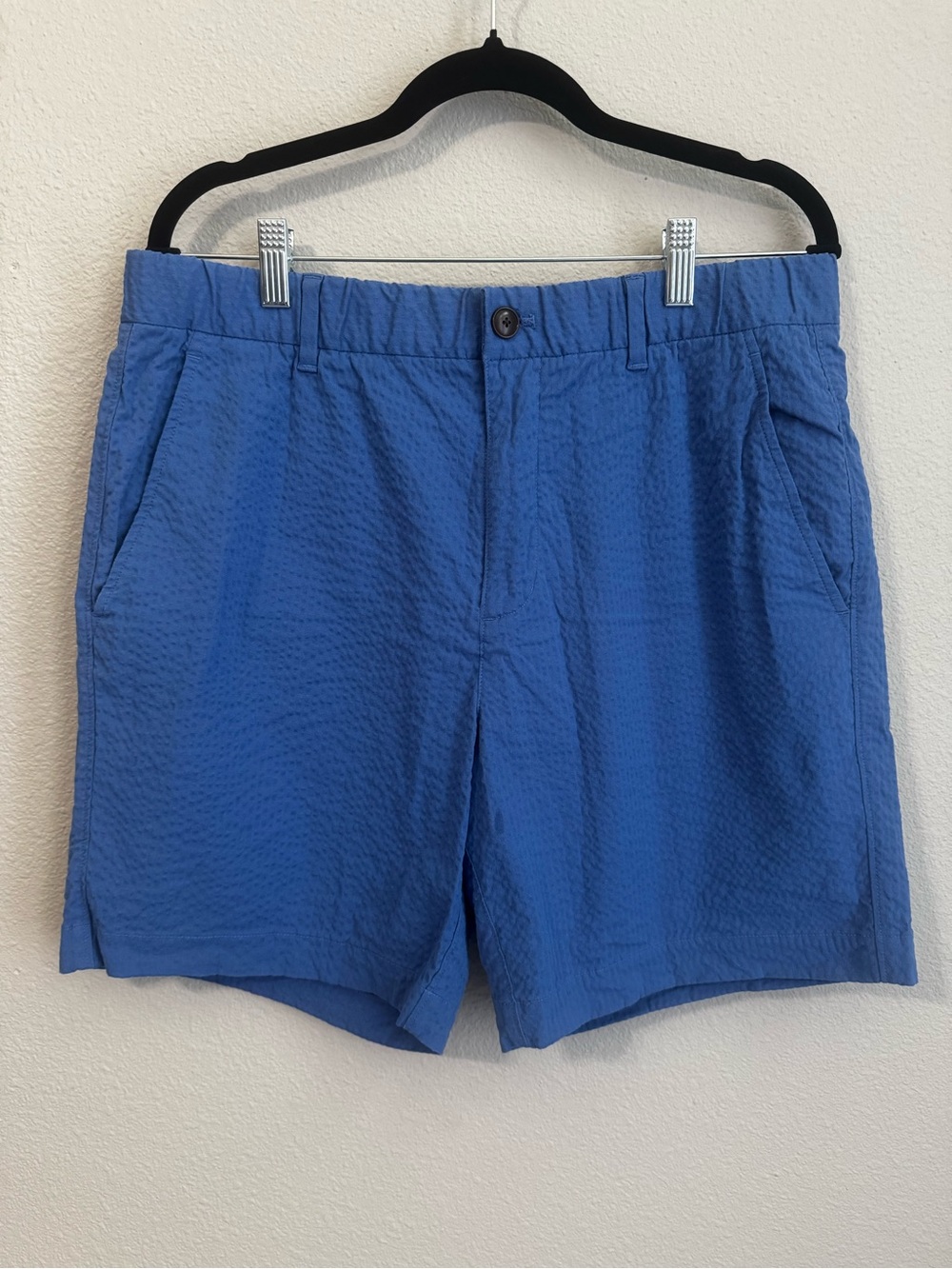 Everlane Blue Seersucker Shorts
